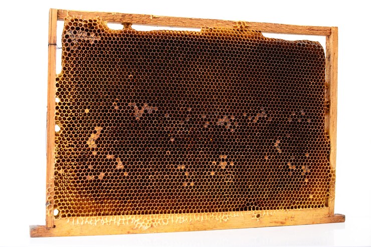 Nids d'abeilles