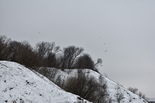 Nijni Novgorod par une sombre journée d'hiver