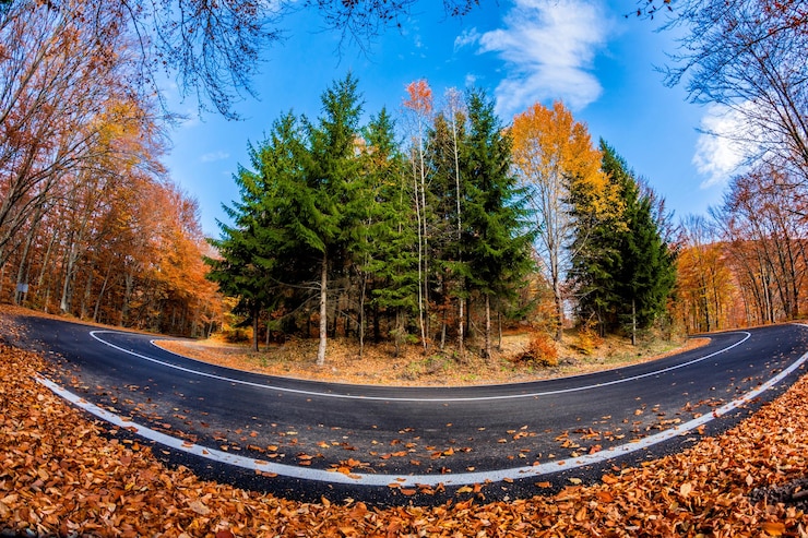 Photo niveau de la route au milieu des arbres contre le ciel en automne