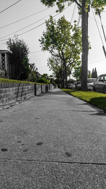 Niveau de surface du sentier de marche par les arbres dans la ville contre le ciel avec des voitures garées le long de la route