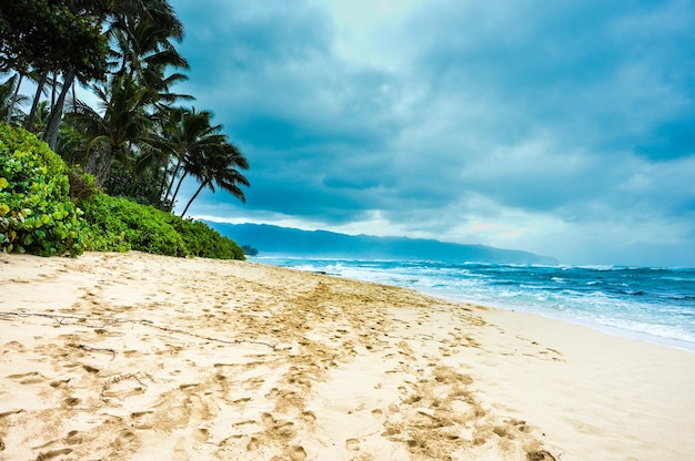 Niveau de surface de la plage calme