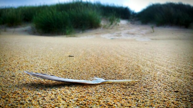 Photo niveau de surface de la plage de sable