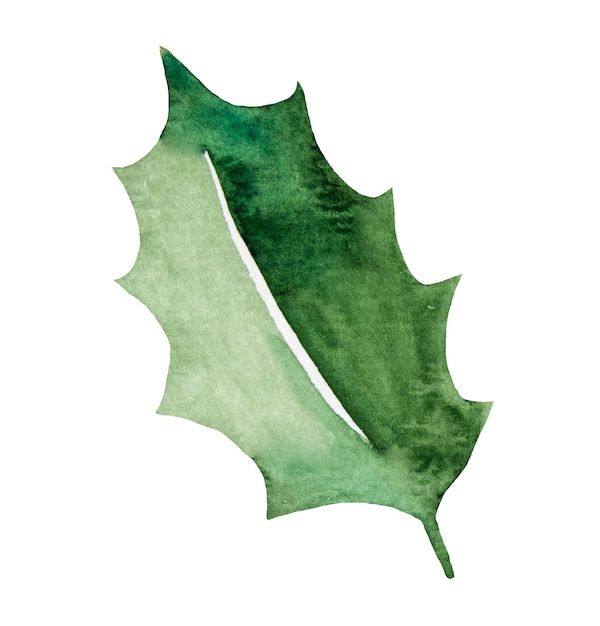 Noël aquarelle houx berry vert feuille vacances conception Illustration