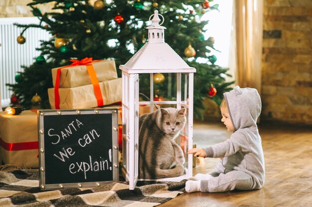 Noël bébé et chat