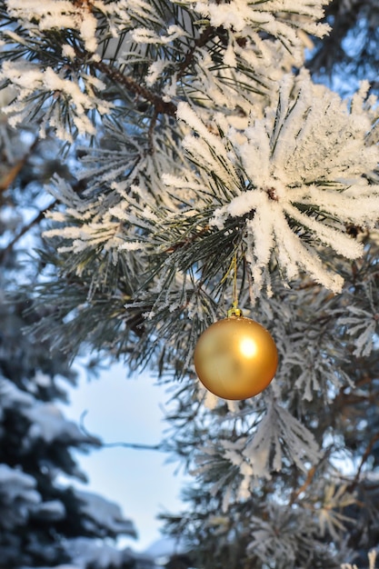 Noël et Nouvel An