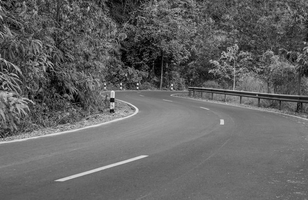 Photo noir et blanc, la route goudronnée de campagne à travers la forêt va quelque part dans la montagne.