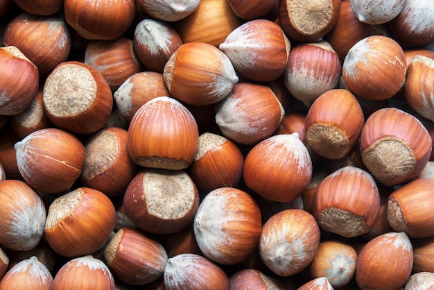 Noisette crue. Texture de noisette alimentaire.