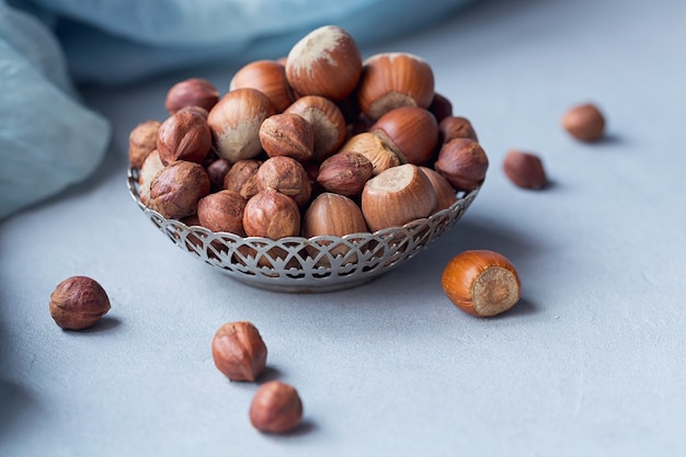 Noisette sur fond bleu clair