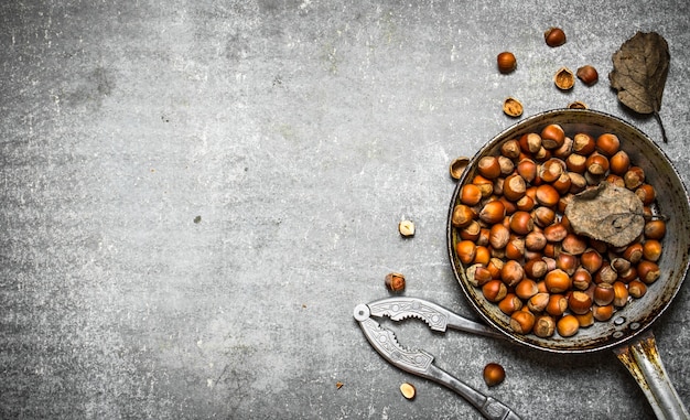 Les noisettes dans une vieille casserole.