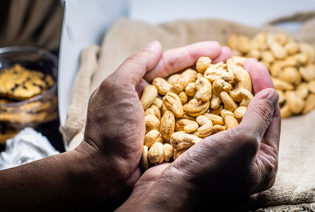 Noix de cajou dans la main des graisses saines et de l'industrie de l'agriculture alimentaire protéique