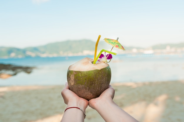 Noix De Coco Accrochée à Palmier Avec Plage De Sable Jaune En Arrière-plan