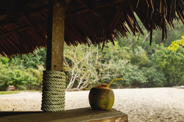 Noix de coco au bar de la plage