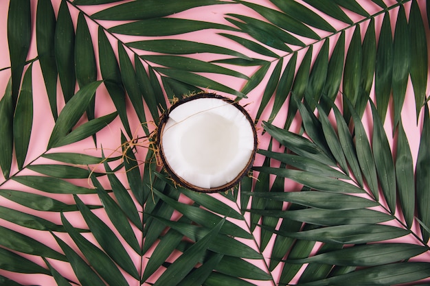 Noix de coco autour des feuilles de palmier sur fond rose.