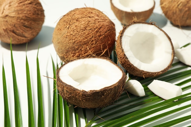 Noix de coco et branche de palmier sur blanc, gros plan