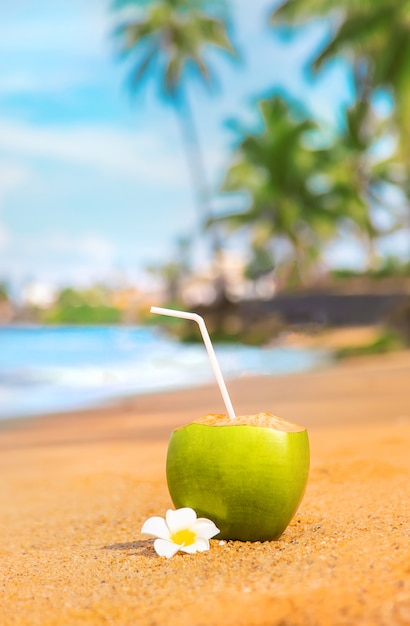 Noix de coco sur un cocktail de plage.