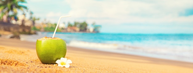 Noix de coco sur un cocktail de plage