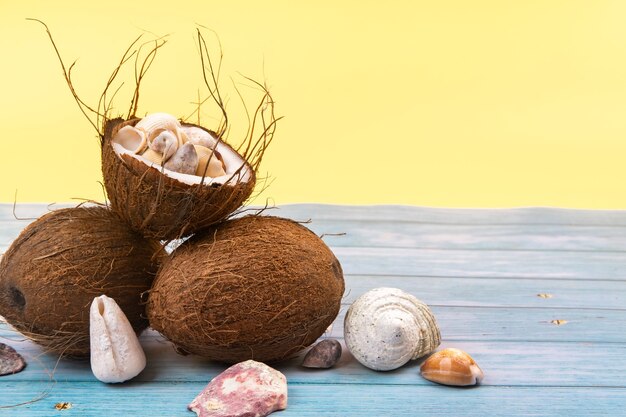 Noix de coco et coquillages sur fond de bois jaune et bleu .Thème marin