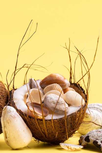 Noix de coco et coquillages sur fond jaune. Thème marin.