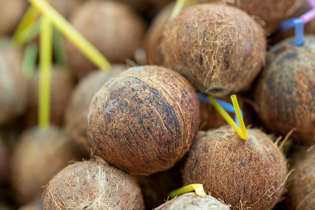 Noix de coco délicieuses et juteuses bouchent