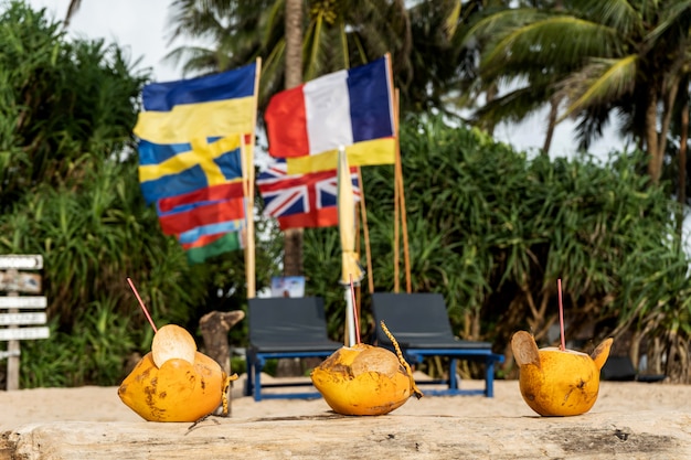 Noix de coco dorées sur la plage avec des drapeaux de différents pays