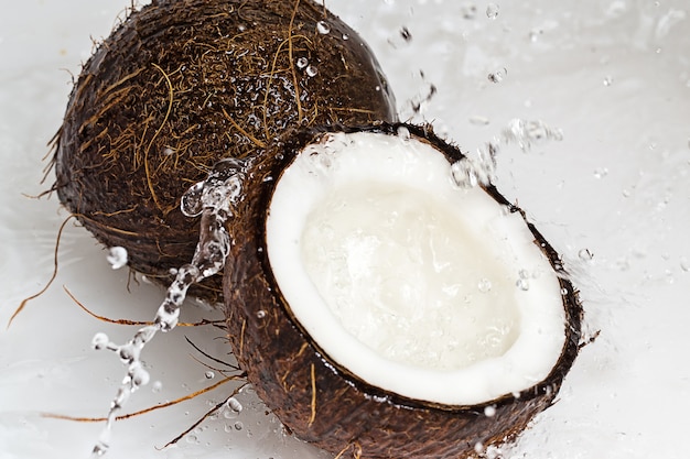 Noix de coco et éclaboussure