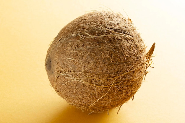 Noix de coco entière sur fond jaune