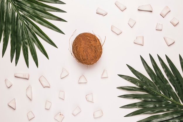 Photo noix de coco entière et hachée avec des feuilles de palmier