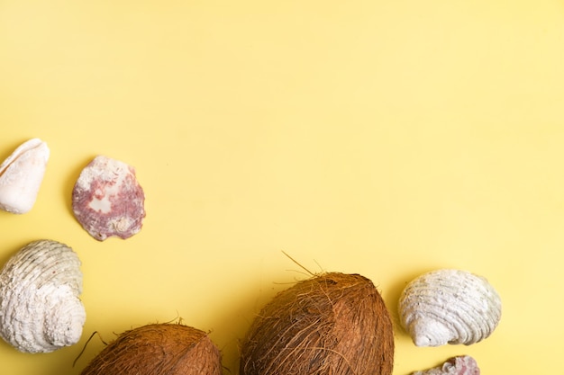 Noix de coco entières et coquillages sur fond jaune. Thème marin.