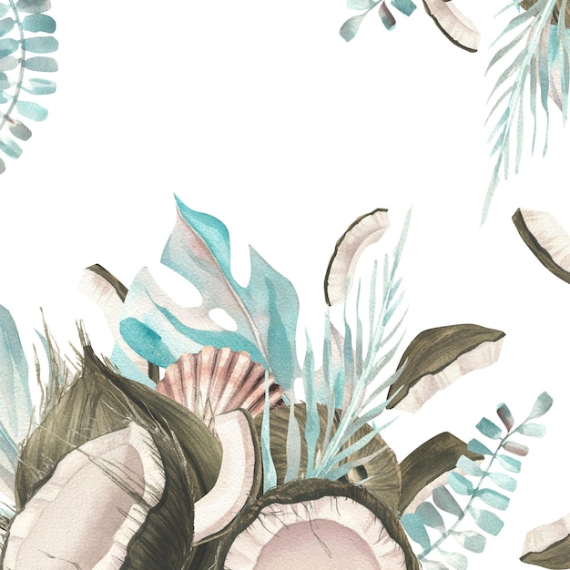 Noix de coco entières et tranches avec des feuilles de palmiers tropicaux et des coquillages Illustration aquarelle Modèle sur fond blanc de la collection de NOIX DE COCO Pour la décoration et le design