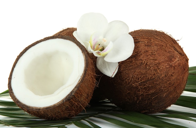 Noix de coco avec des feuilles et des fleurs, isolé sur blanc