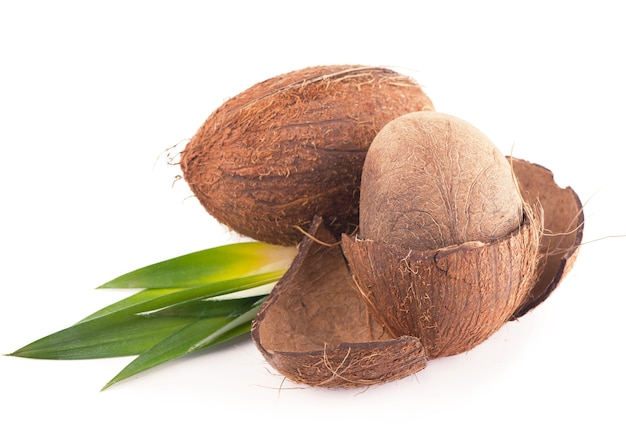 Noix de coco avec des feuilles sur fond blanc.