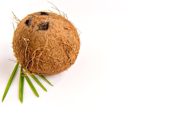 Noix de coco et feuilles sur fond blanc