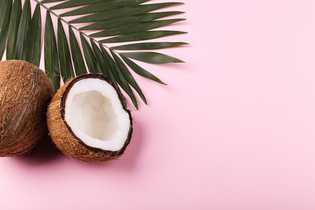 Noix de coco et feuilles de palmier, espace de copie. Ambiance estivale, tropicale, vierge.