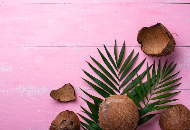 Photo noix de coco et feuilles de palmier sur rose