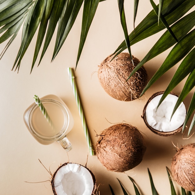 Noix de coco sur fond pastel avec des feuilles tropicales