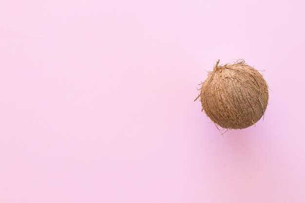 Noix de coco fraîche sur fond rose vif