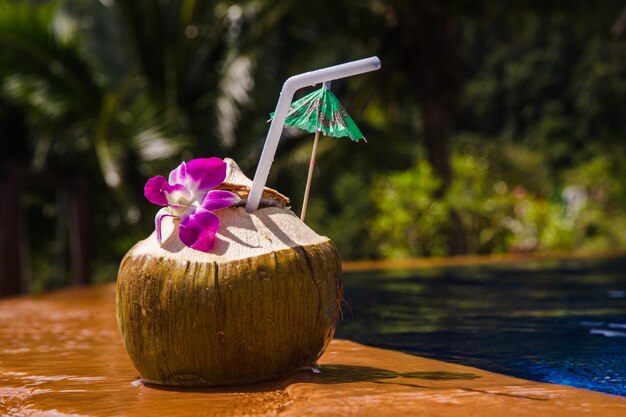 Noix de coco fraîche et froide avec paille à cocktail près de la piscine