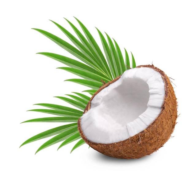 Photo noix de coco fraîche mûre moitié de noix de coco avec des feuilles de palmier isolé sur fond blanc