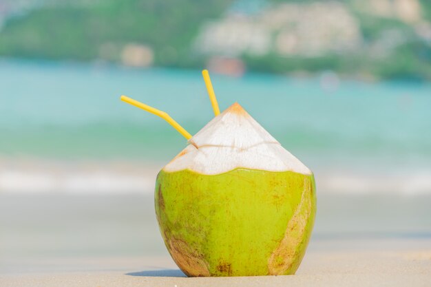 Noix de coco fraîche sur une plage ensoleillée