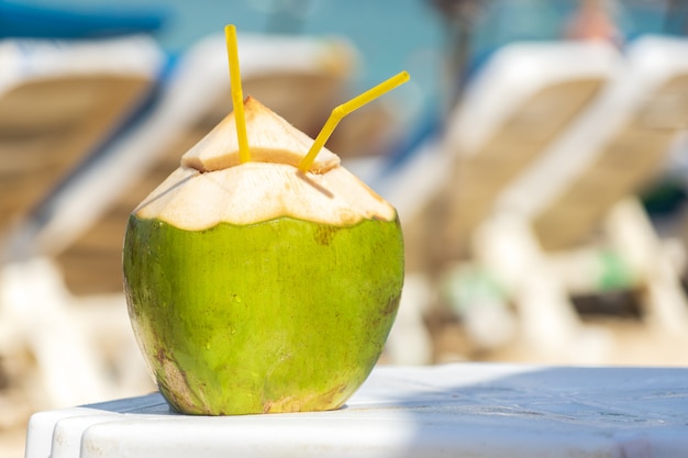 Noix de coco fraîche sur une plage ensoleillée