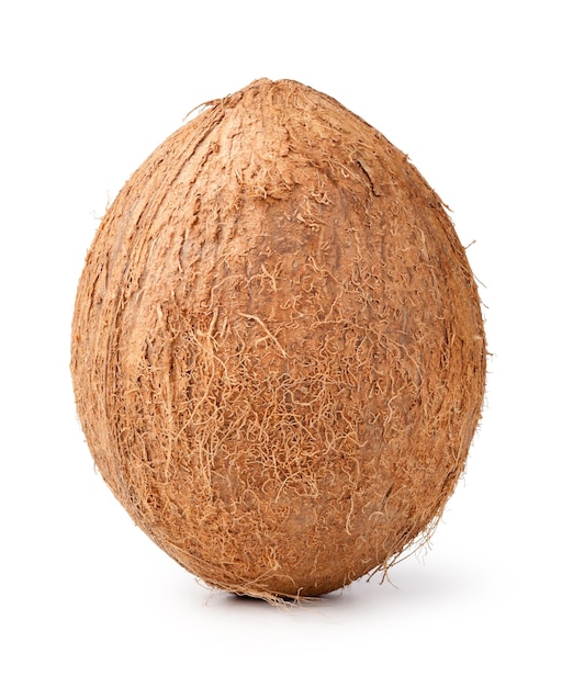 Noix de coco fraîche