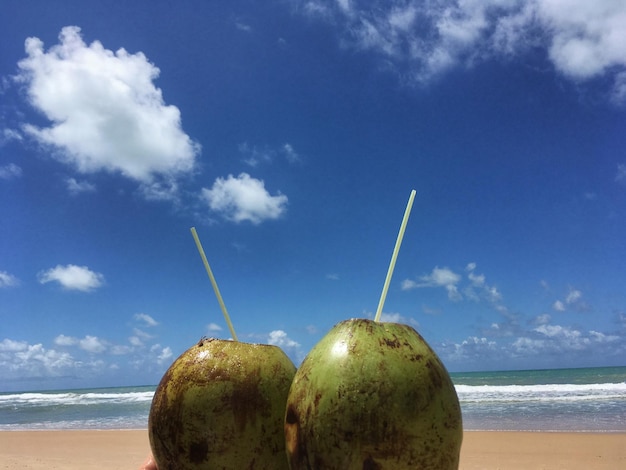 Des noix de coco sur la plage contre le ciel bleu