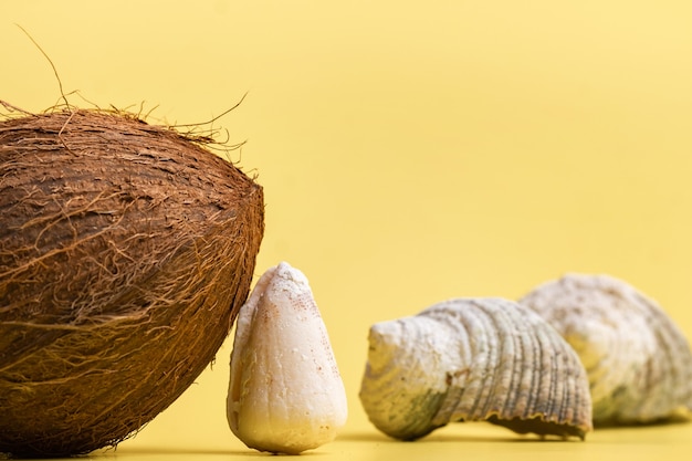 Noix de coco, roches et coquillages dans le concept de plage