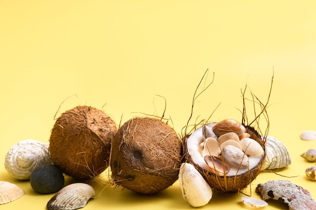 Photo noix de coco, roches et coquillages dans le concept de plage