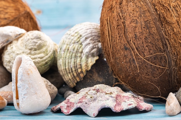 Noix de coco, roches et coquillages sur un fond en bois bleu.Thème marin