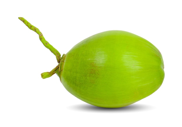 Noix de coco verte isolée sur surface blanche