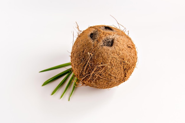 Noix de coco sur la vue de dessus de fond blanc