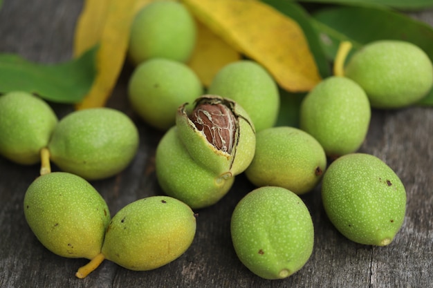 Noix cueillies dans un arbre dans une coquille verte