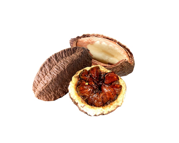 Les noix du Brésil sont une source particulièrement riche en sélénium.