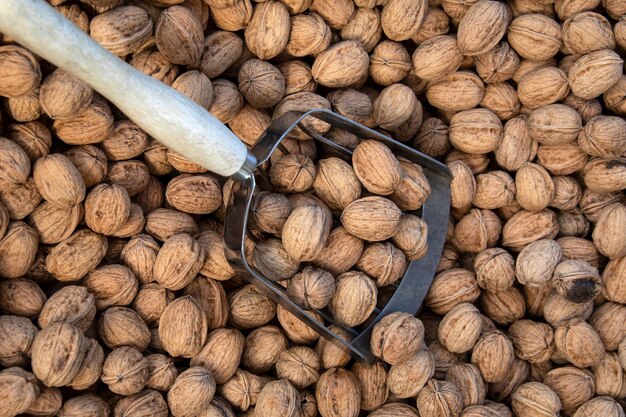 Noix sur un étal de marché